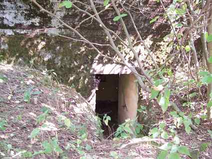 [Wej�cie do schronu]