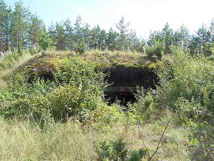 [Widok schronu od strony wej�cia]