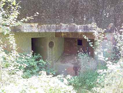 [Strzelnica obrony wej�cia]