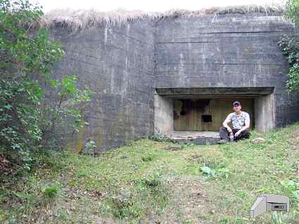 [P�yta pancerna 78P9]