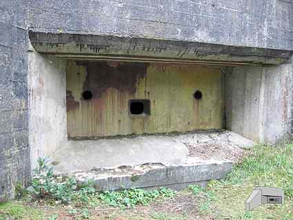 [P�yta pancerna 78P9]