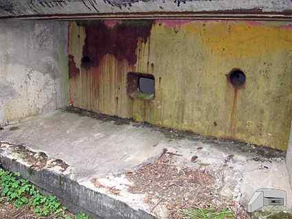 [P�yta pancerna 78P9]