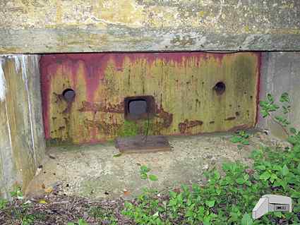 [P�yta pancerna 78P9]