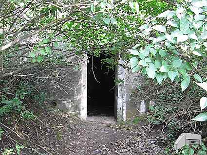 [Widok od wej�cia]