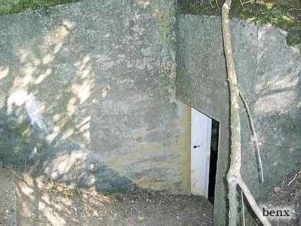 [Widok od wej�cia]