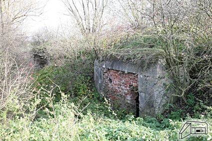 [Schron]