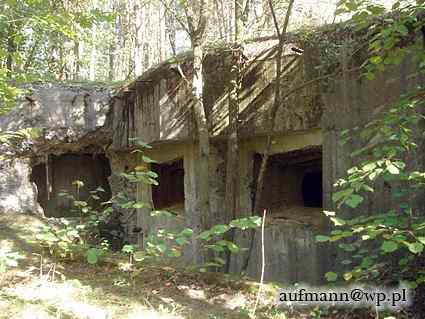 [Widok od strony strzelnic]