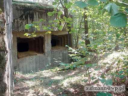 [Widok od strony strzelnic]