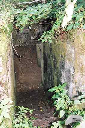 [Schron plot]