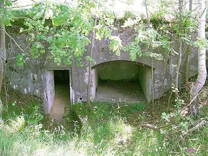 [Schron dla dzia�a ppanc]