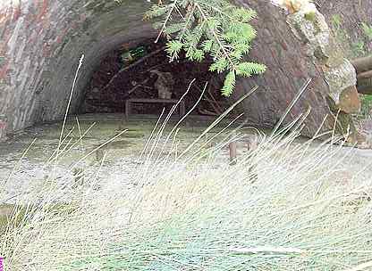 [Wyj�cie ewakuacyjne]