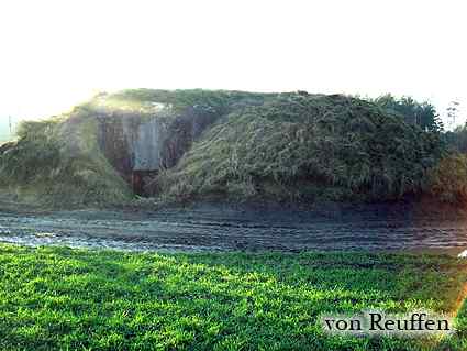 [Widok od wej�cia]