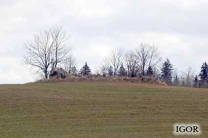 [Widok schronu z drogi]