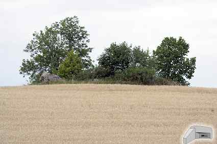 [Widok schronu z drogi]