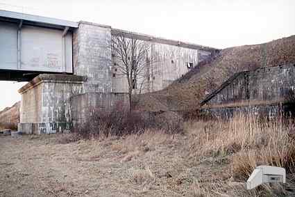 [Lewobrze�ny przycz�ek]