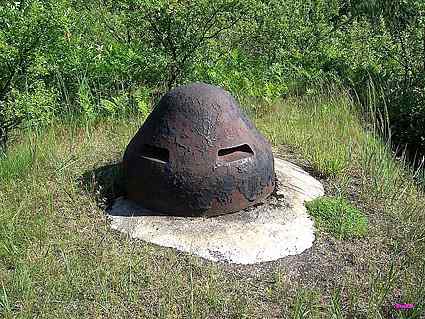 [Kopu�a obserwacyjna 90P9]