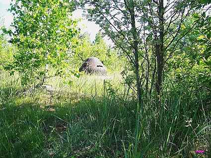 [Kopu�a obserwacyjna 90P9]