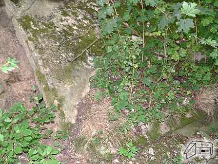 [Stanowisko dzia�a]