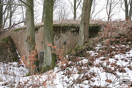 [Lewy schron amunicyjny]