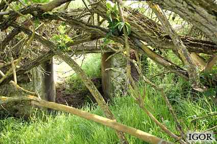 [Bateria Olszowy R�g]