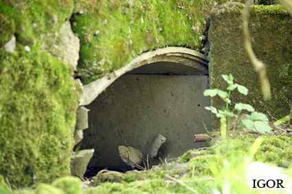 [Bateria Olszowy R�g]