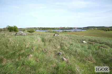 [Bateria Olszowy R�g]