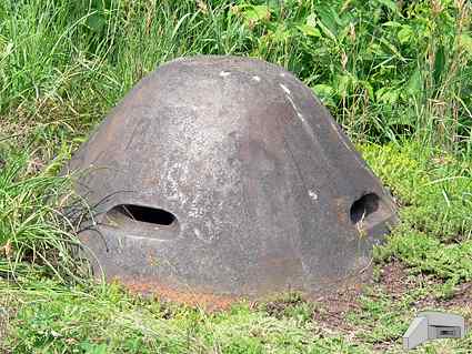 [Kopu�a obserwacyjna]