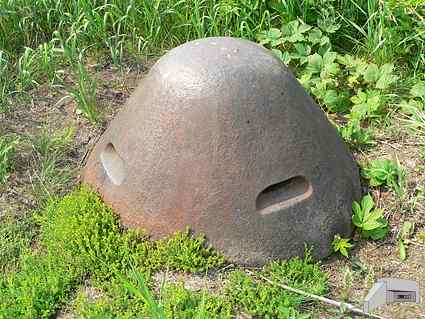 [Kopu�a obserwacyjna]