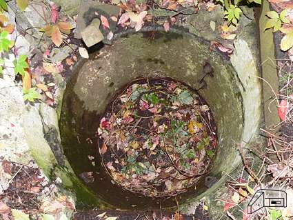 [Kopu�a obserwacyjna]