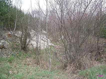 [R�w przeciwczo�gowy]