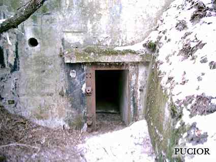 [Schron ��czno�ci]