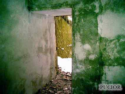 [Schron ��czno�ci]