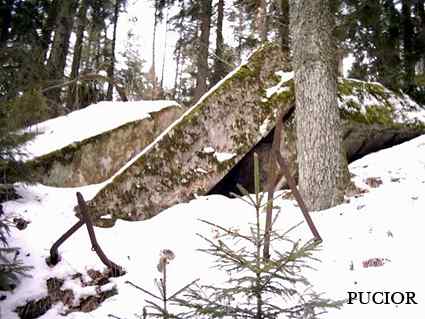 [Schron ��czno�ci]