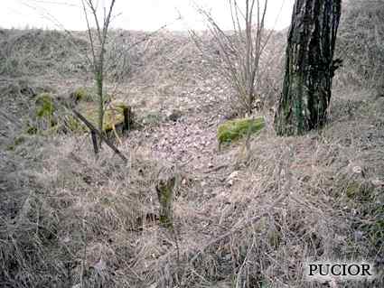 [Schron ��czno�ci]