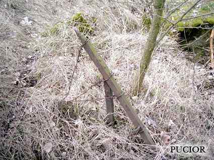 [Schron ��czno�ci]