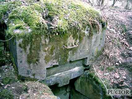 [Schron ��czno�ci]