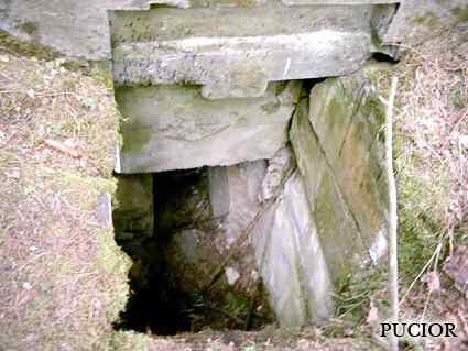 [Schron ��czno�ci]