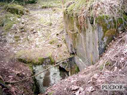 [Schron ��czno�ci]