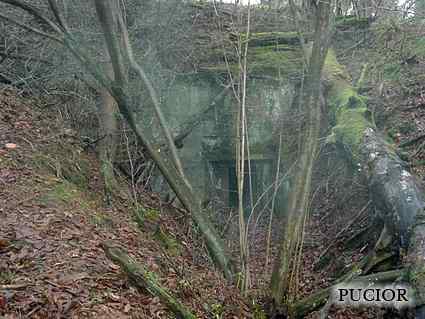 [Schron ��czno�ci]