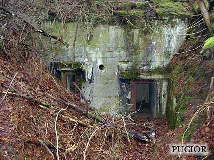 [Schron ��czno�ci]