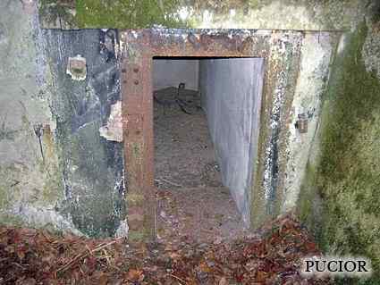 [Schron ��czno�ci]