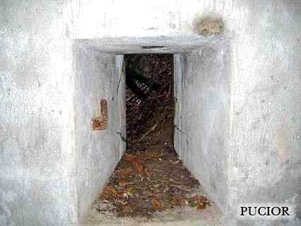 [Schron ��czno�ci]