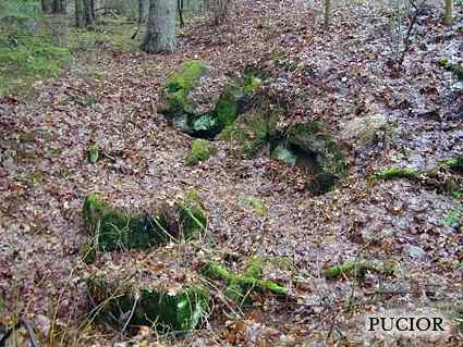 [Schron ��czno�ci]