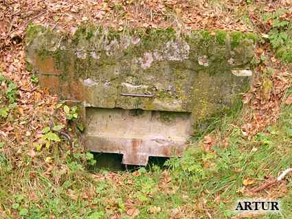 [Schron ��czno�ci]