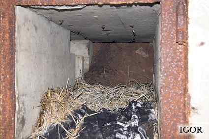 [O�cie�nice drzwi 410P9]