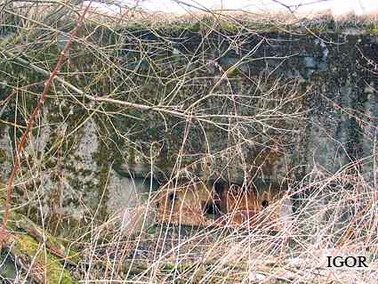 [Strzelnica z p�yt� pancern� 78P9]