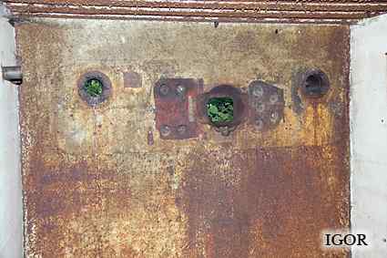 [P�yta pancerna 78P9]