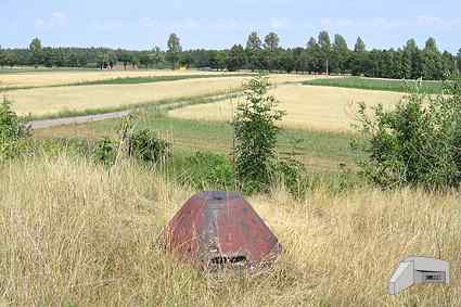 [Kopu�a obserwacyjna 90P9]