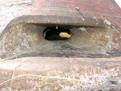 [Kopu�a obserwacyjna 90P9]