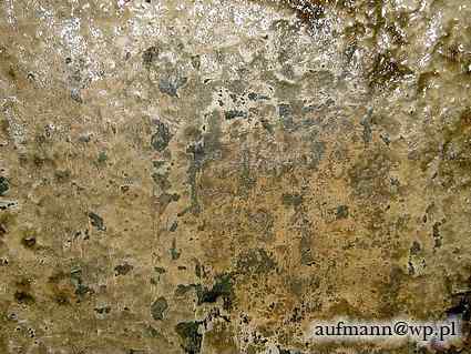 [Kopu�a obserwacyjna 90P9]